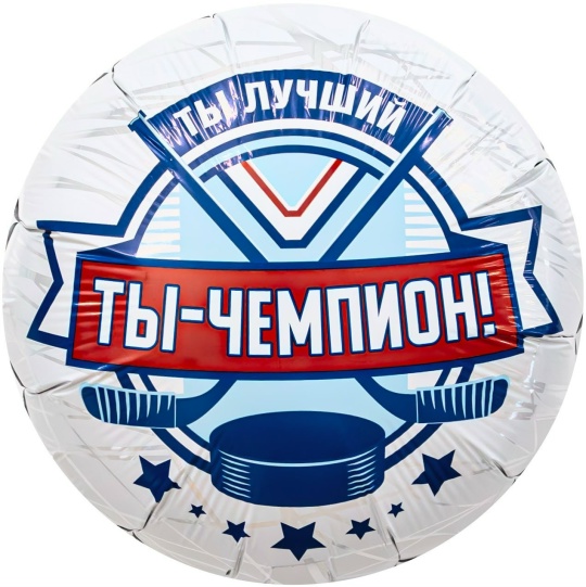 Шар (46 см) "Ты-Чемпион, хоккей"