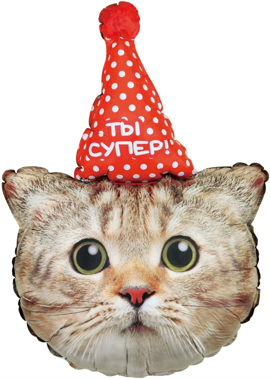 Шар (81 см) Фигура, Котик в колпачке