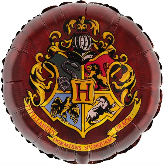 товар в упаковке Шар (46 см) Круг, Волшебная школа