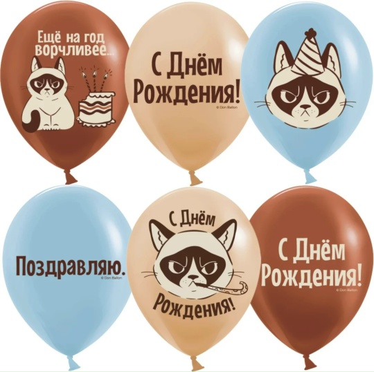 Шар (12''/30 см) С Днем Рождения! (сердитая кошка), Ассорти, пастель